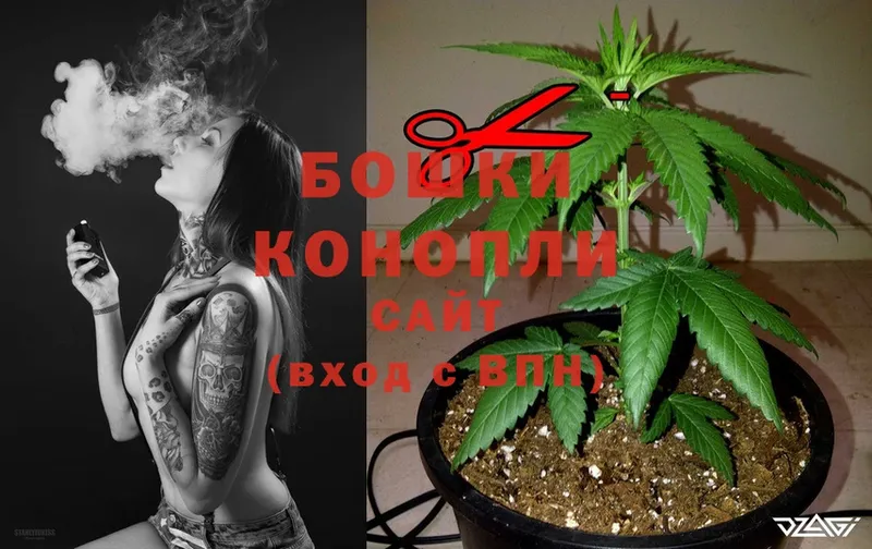 маркетплейс клад  наркота  Вышний Волочёк  МАРИХУАНА White Widow 